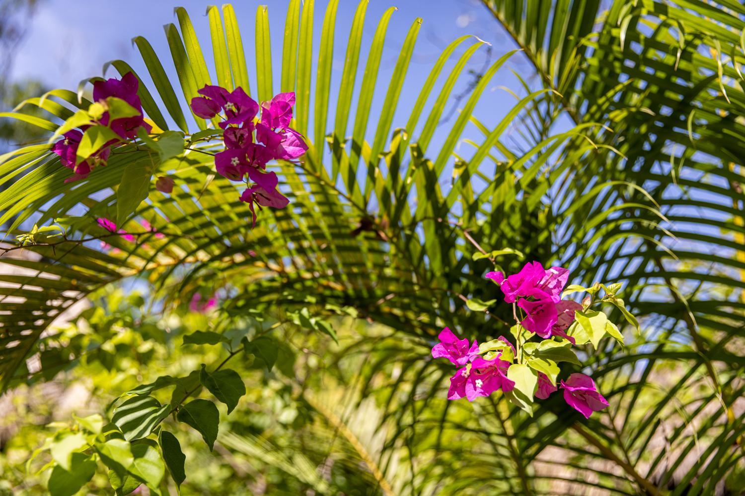 Kampot Cabana エクステリア 写真